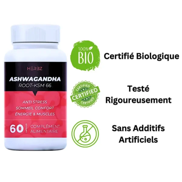 كبسولات اشواغاندا (60 كبسولة) – ASHWAGANDHA - Image 3
